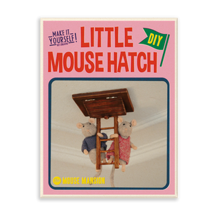 Little Mouse Hatch