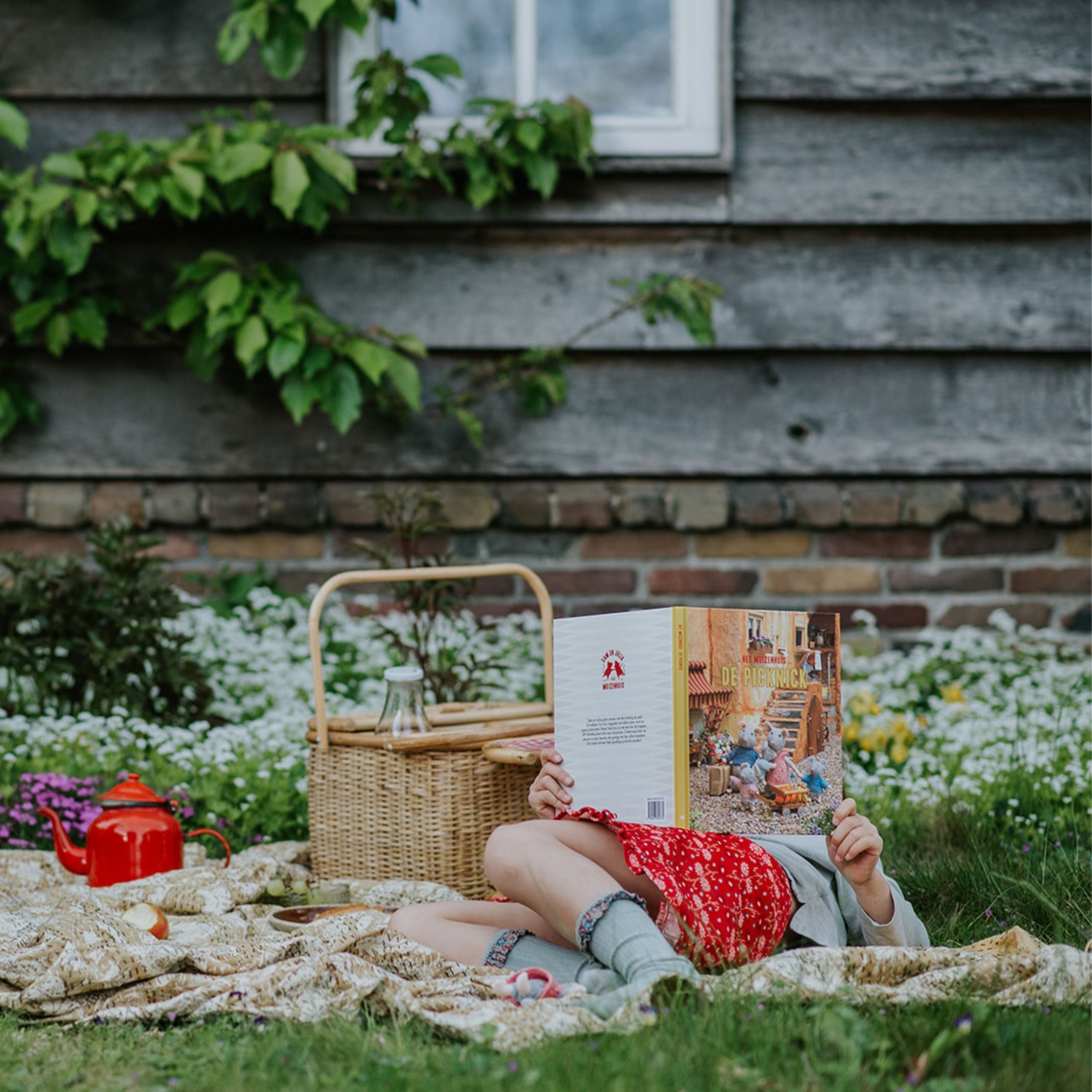 De picknick